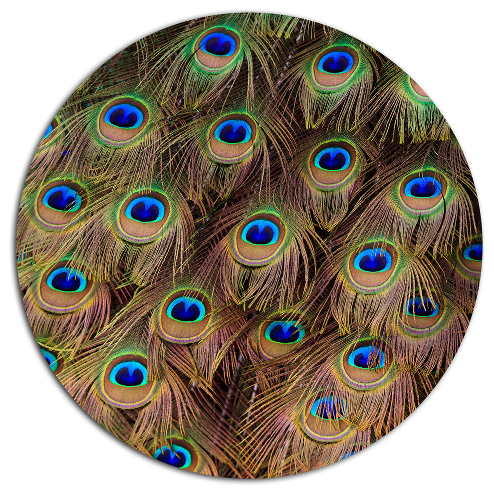 Peacock Bird Tail Feathers In Close-Up, Animal Round Metal Artwork, 11"