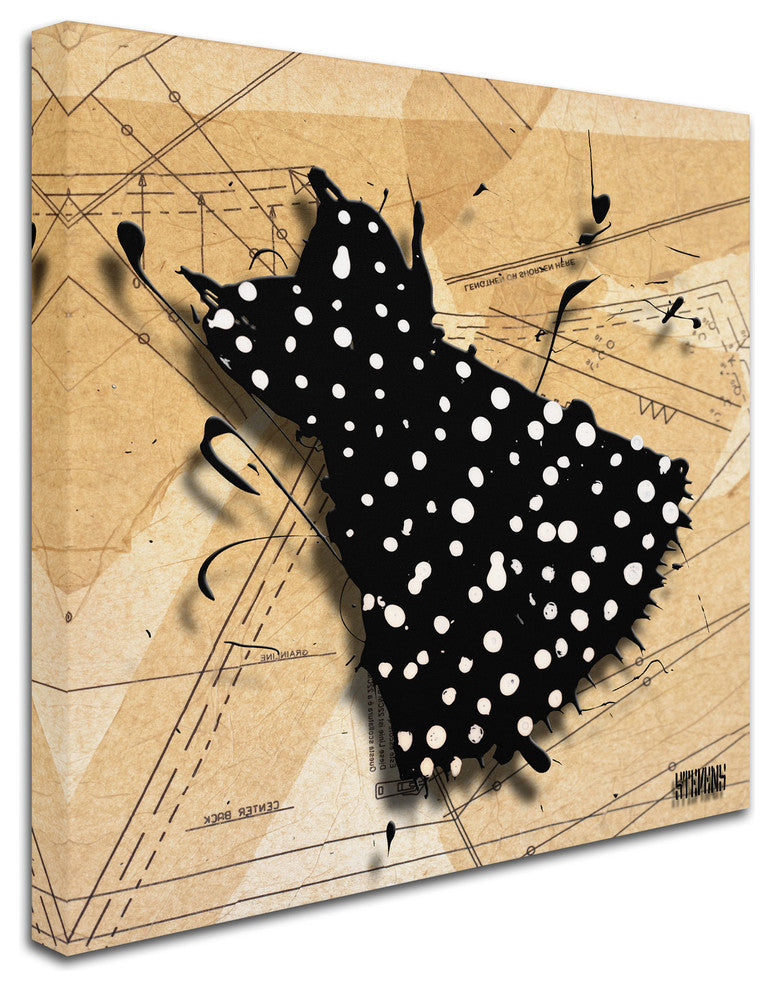 'White on Black' Canvas Art by Roderick Stevens
