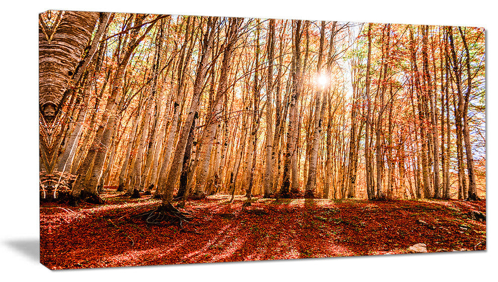 Bright Sun over Thick Fall Forest, Modern Forest Canvas Art, 32"x16"