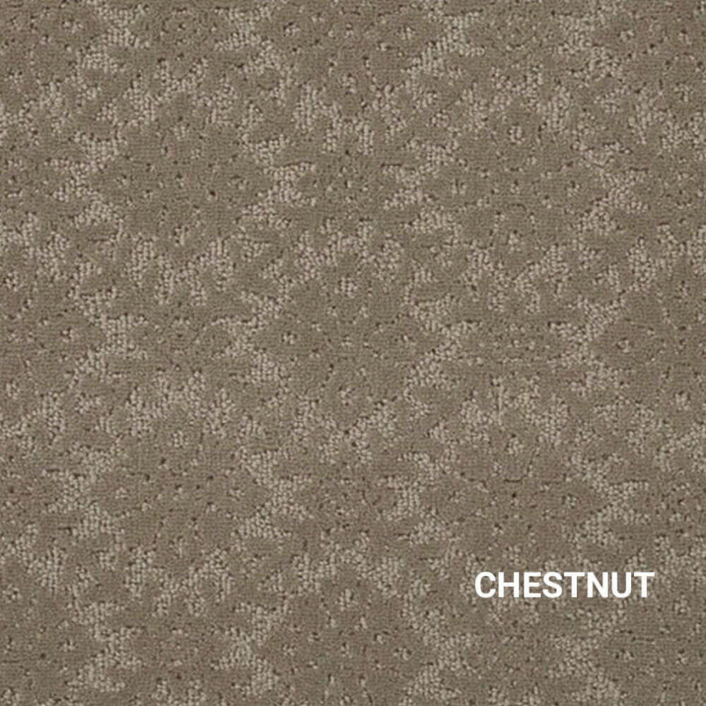 Graphique Area Rug Accent Rug Carpet Runner Mat, Chestnut, 7x7