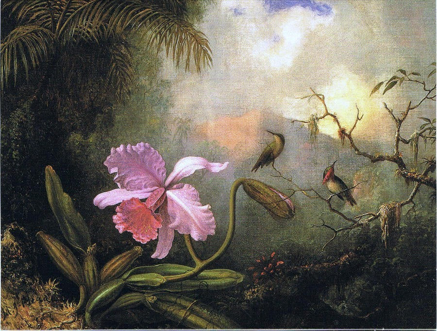 Martin Johnson Heade Carrleya Orchid With Two Hummingbirds Wall Decal