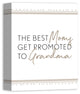 The Best Moms Get Promoted to Grandma 11x14 Canvas Wall Art