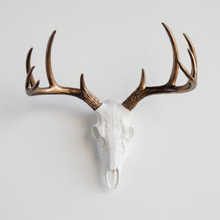 Faux White Mini Deer Skull With Natural Antlers Wall Decor, Bronze, White