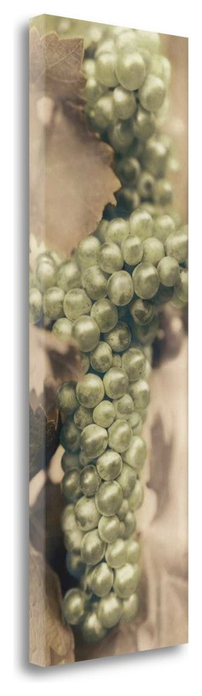 "Chardonnay" By Alan Blaustein,Ready to Hang Giclee Print on Gallery Wrap Canvas