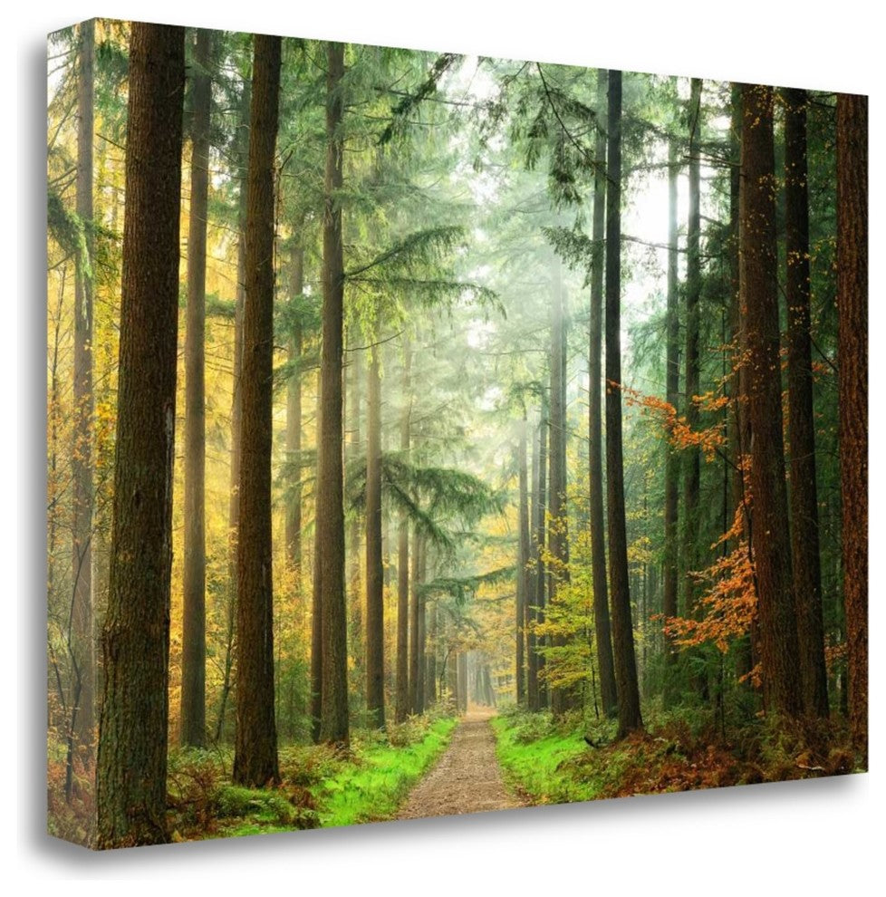 "Divide" By Lars Van De Goor, Giclee Print on Gallery Wrap Canvas, Ready to Hang