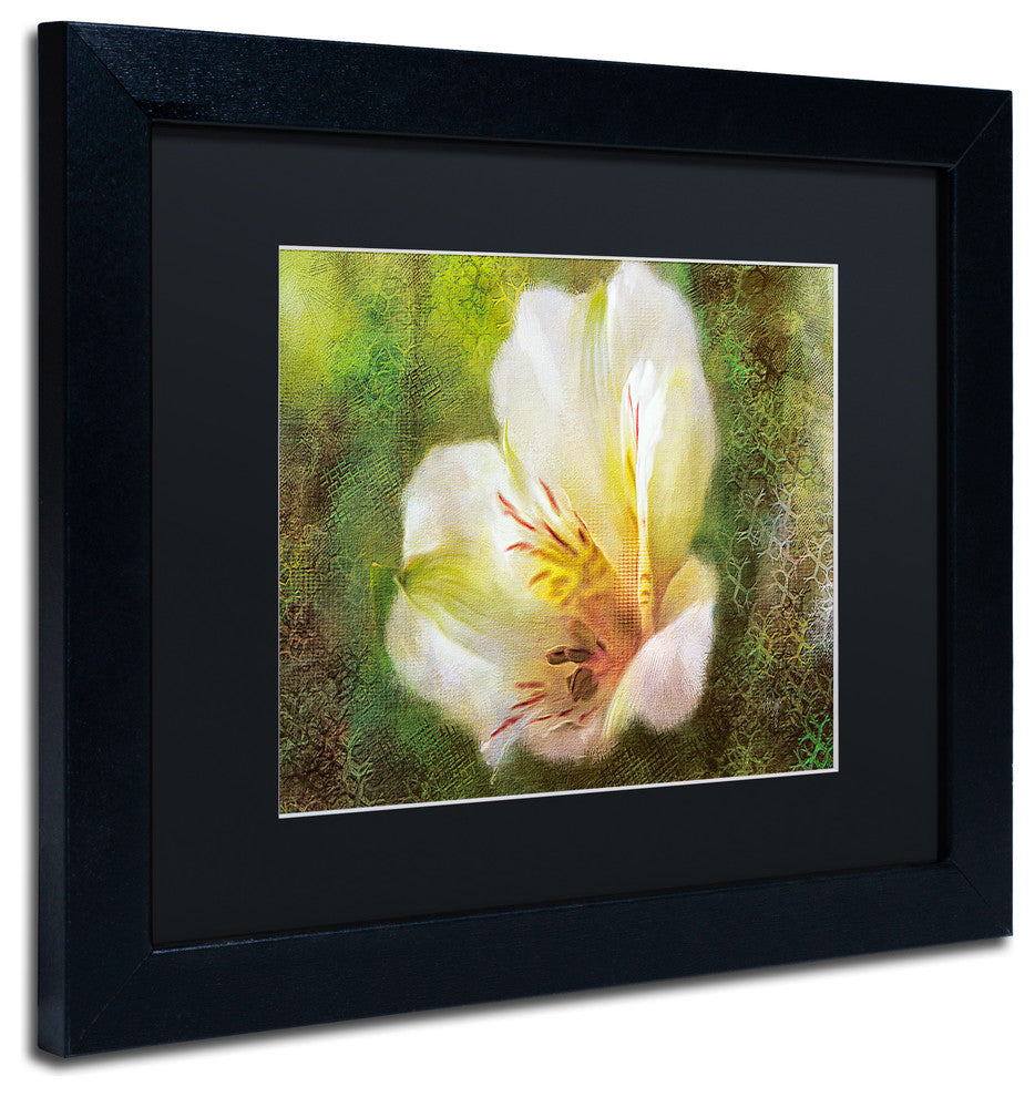 Lois Bryan 'Lily of the Incas' Art, Black Frame, Black Matte, 14"x11"