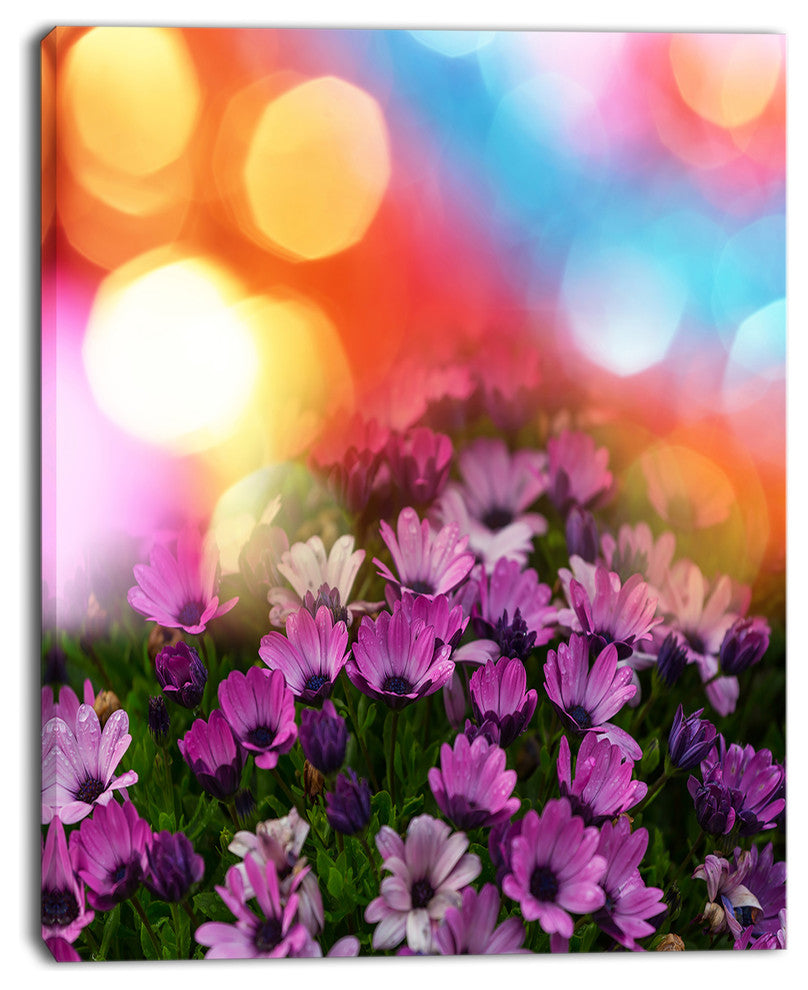Purple Flowers on Colorful Background, Large Flower Canvas Wall Art, 12"x20"