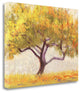 "Apricot Tree" By Shirley Novak, Giclee Print on Gallery Wrap Canvas