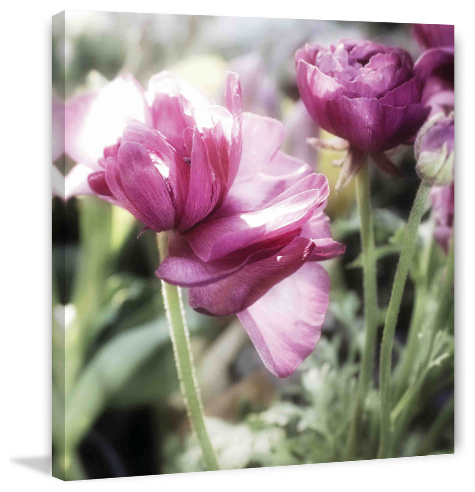 "Floral Melody VII" Painting Print on Canvas by Irena Orlov