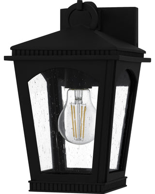 Quoizel HUK8406 Huck 11" Tall Outdoor Wall Sconce - Earth Black