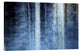 "The Forest" Stretched Canvas Giclee by Kostas Barbadimos, 24"x16"