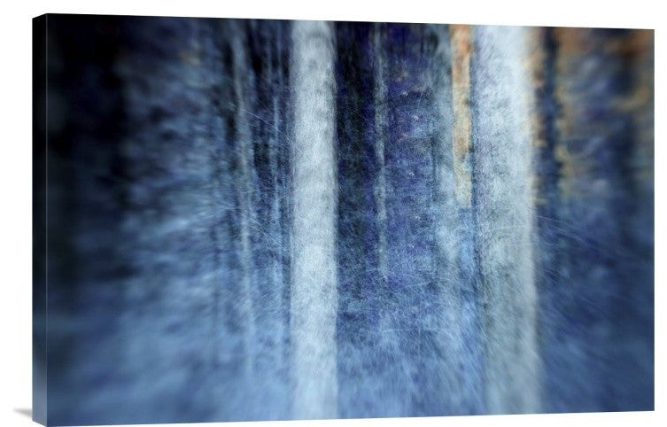 "The Forest" Stretched Canvas Giclee by Kostas Barbadimos, 24"x16"