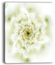 "Full Bloom Fractal Flower in White" Flower Wall Art, 12"x20"