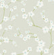 Sakura Light Grey Floral Wallpaper