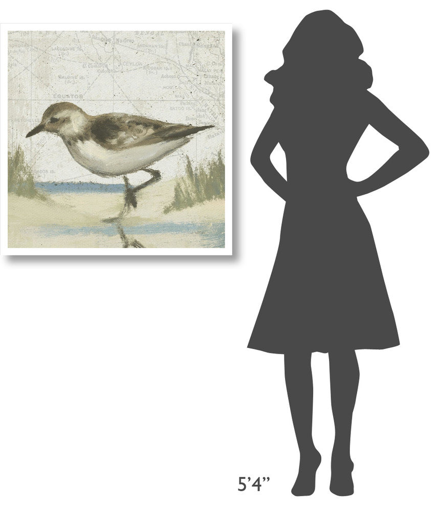 "Beach Bird IV" Digital Paper Print by James Wiens, 32"x32"