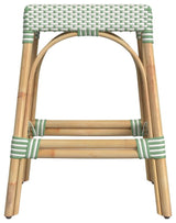 Robias Rectangular Rattan 24.5" Counter Stool, White and Green