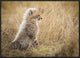 Watching You Mom, 30"x21"
