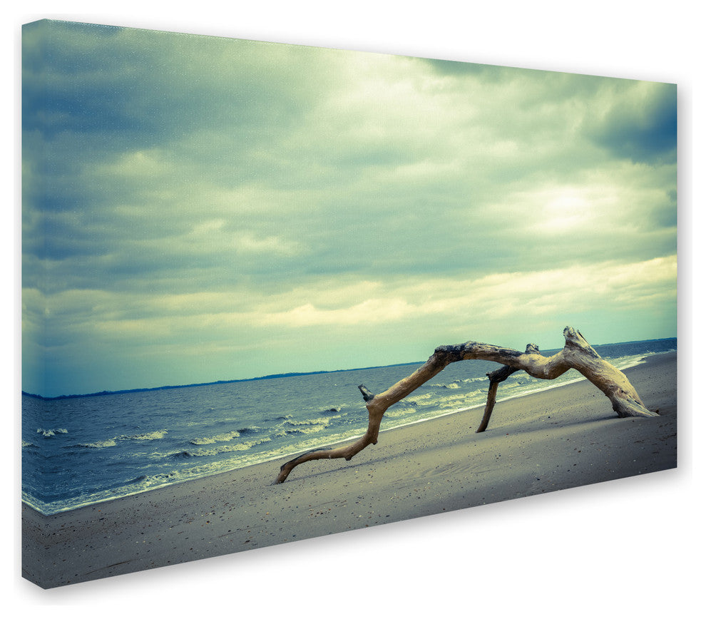 PIPA Fine Art ''The Cove'' Canvas Art, 24x16