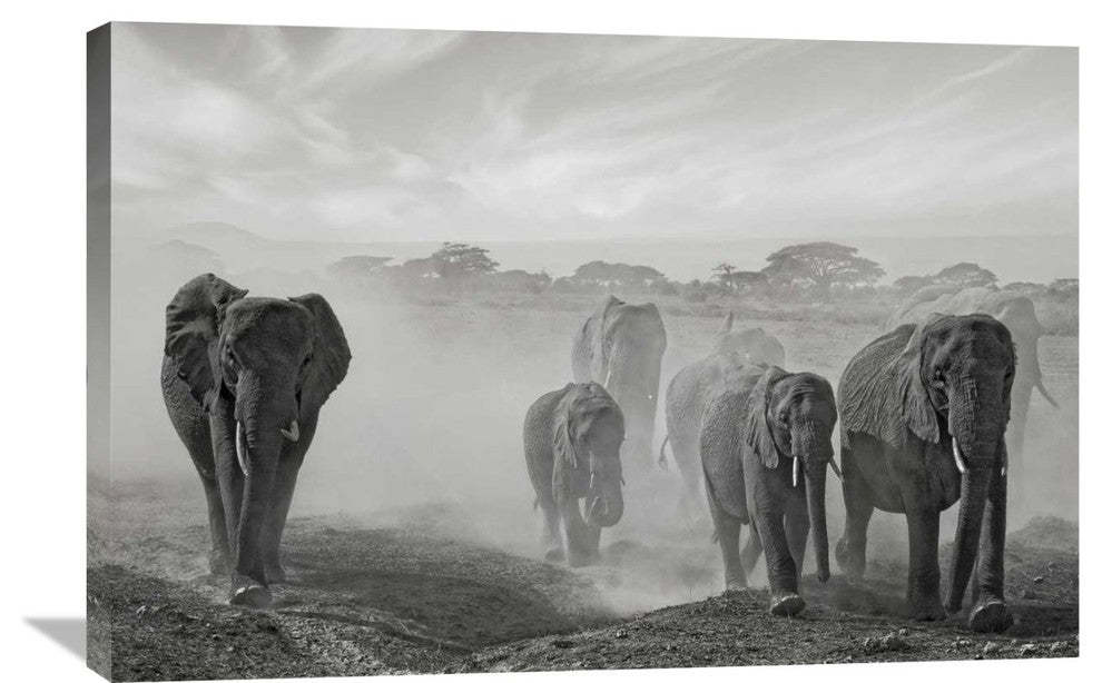 "Sequence Of Emotion" Stretched Canvas Giclee by Mathilde Guillemot, 36x24"