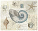 "Beach Wonders II No Butterflies" Digital Paper Print by Katie Pertiet, 37"x30"