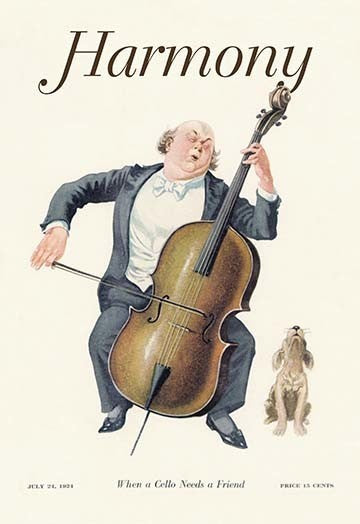 "Harmony: When a Cello Needs a Friend", 20"x30", Framed Paper Poster