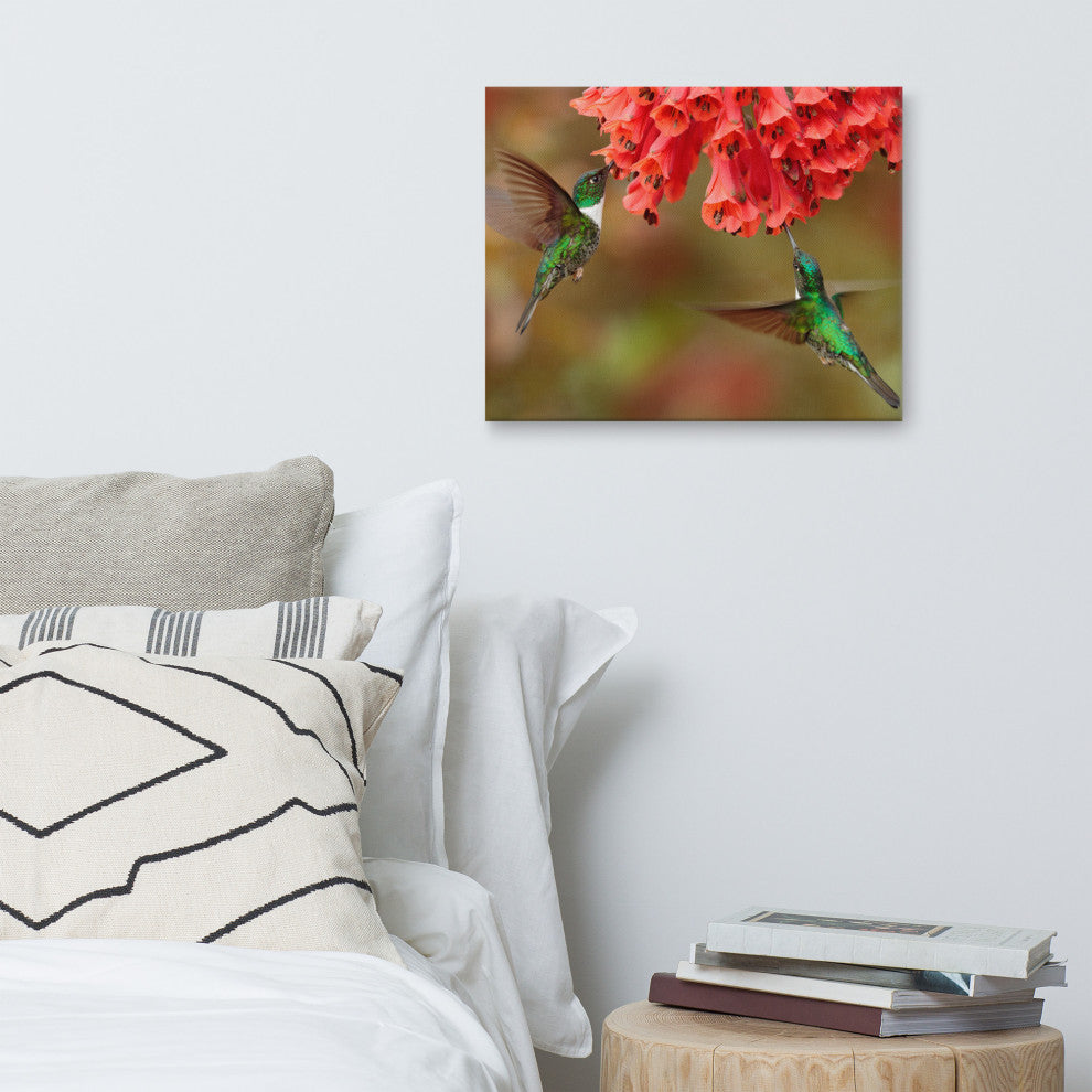Hummingbirds Reddish-Orange Flowers Animal Wildlife Photo Canvas Wall Art Print, 16" X 20"