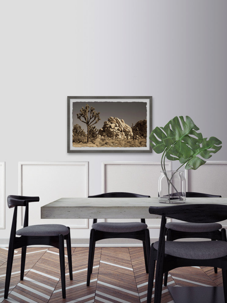 "Cactus and Rocks" Framed Painting Print, 24x16