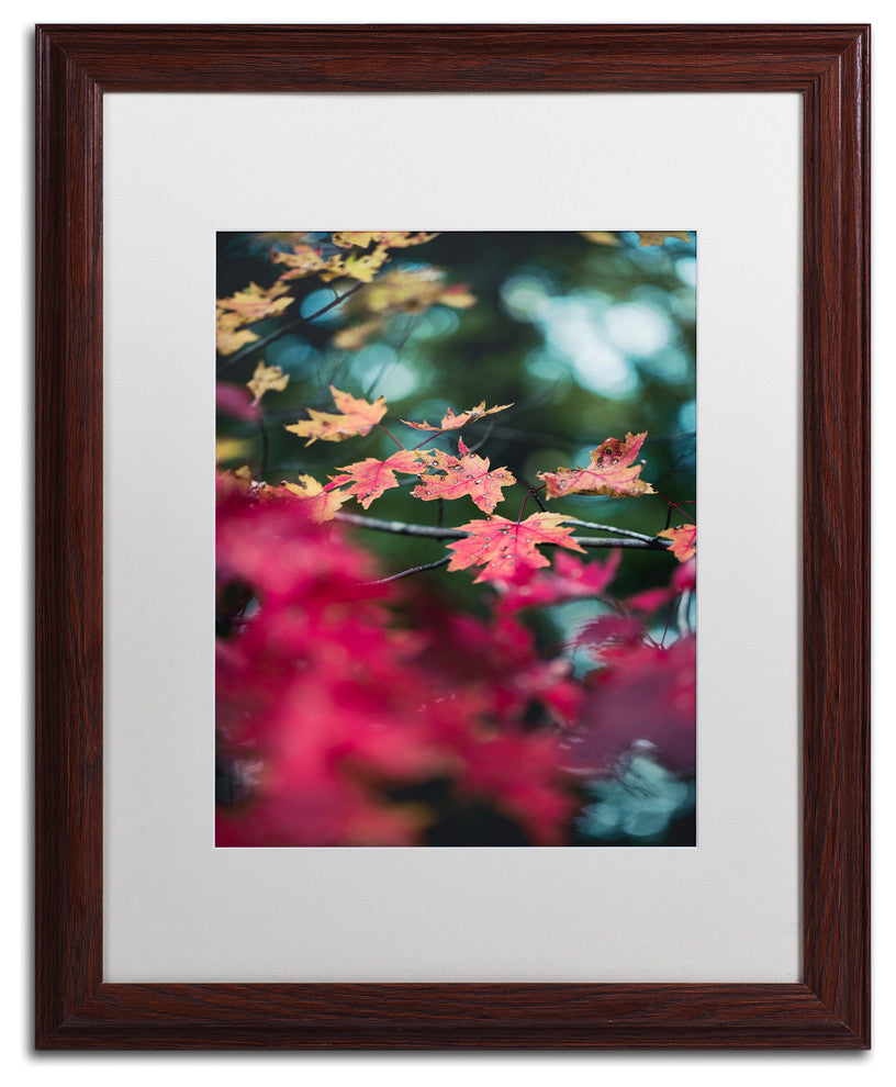 Jason Shaffer ''Maple'' Matted Framed Art, Wood Frame, White Mat, 16x20