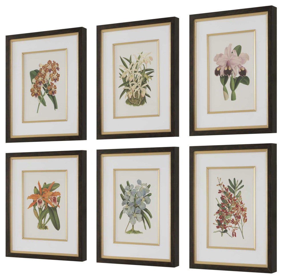 Uttermost Orchid Botanical Framed Prints Set of 6