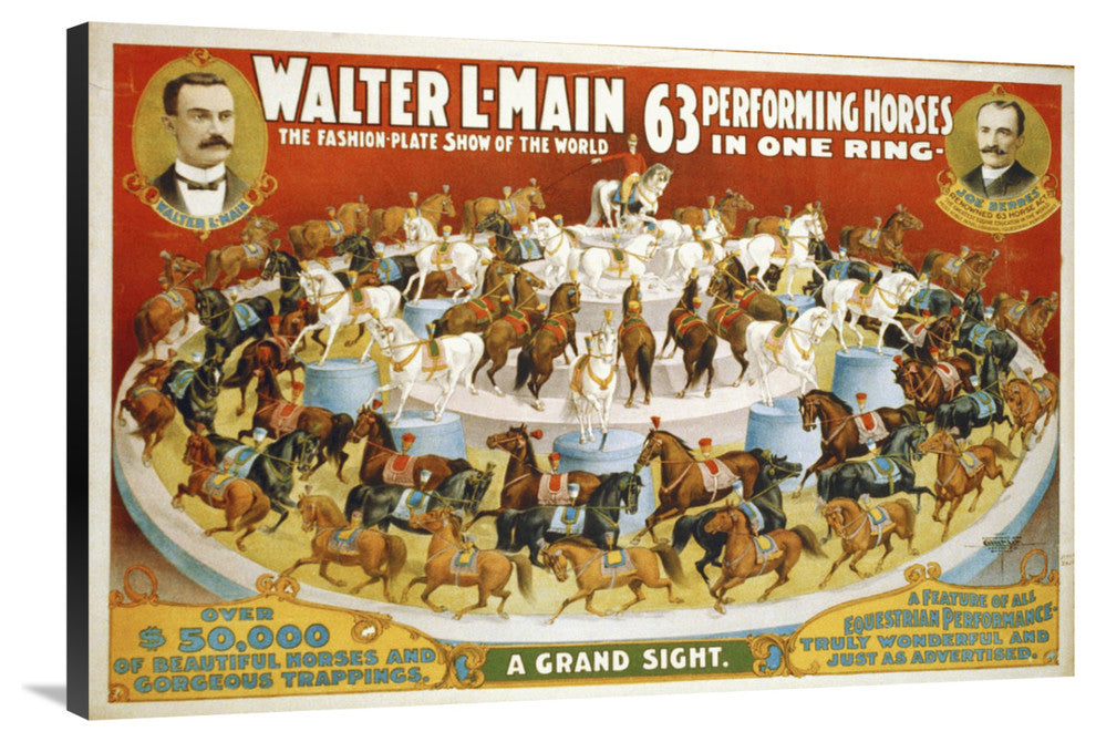 "63 Performing Horses - 1899" Canvas by Hollywood Photo Archive, 40x27"
