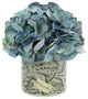 Hydrangea in a Glass Label Vase