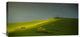 "Painted With Light" Stretched Canvas Giclee by Matej Rumansky, 30x15"
