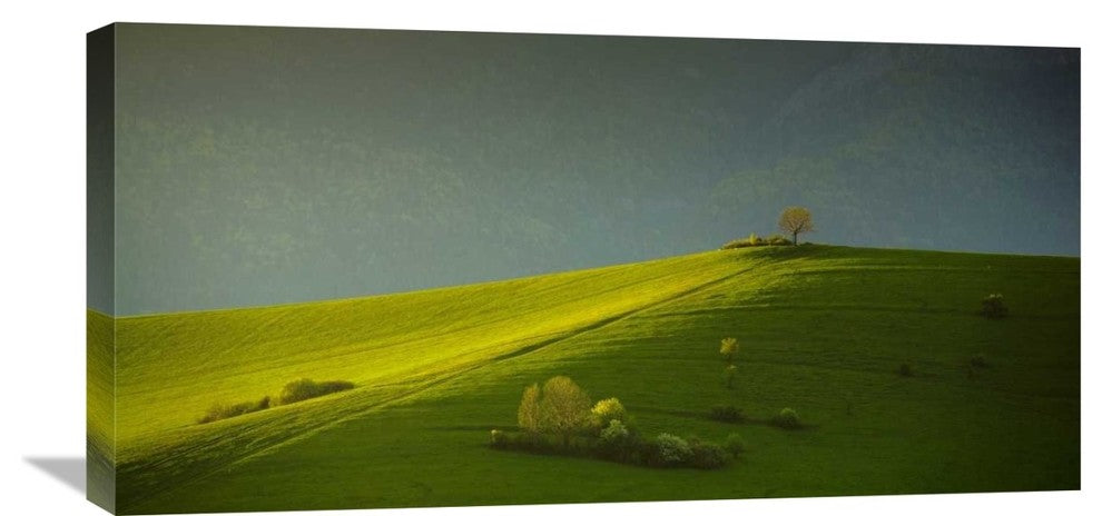 "Painted With Light" Stretched Canvas Giclee by Matej Rumansky, 30x15"