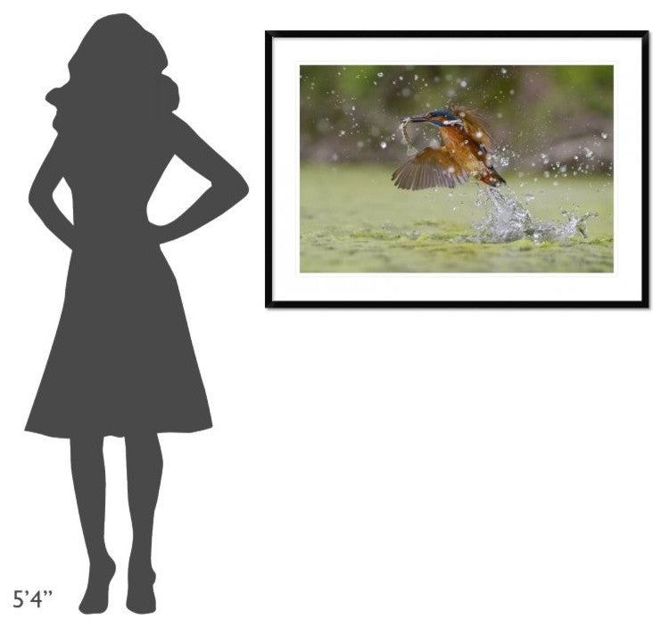 "Green Fishing" Framed Digital Print by Marco Redaelli, 44x32"