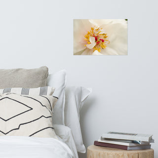 Eye of Peony Nature Photography, Floral Unframed Wall Art Print, 12" X 18"