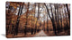 Road in Autumn Golden Forest, Forest Canvas Art Print, 32"x16"