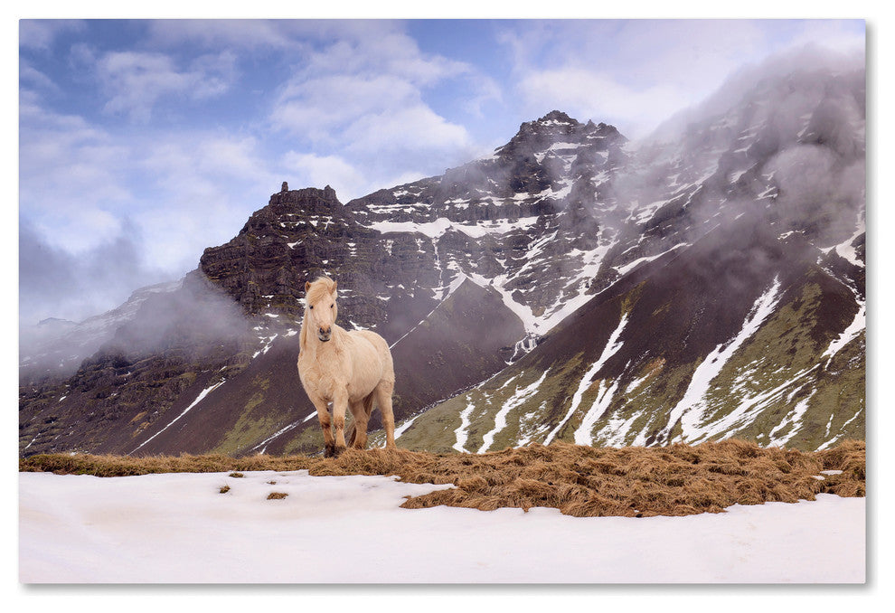 Michael Blanchette Photography 'You Looking At Me' Canvas Art, 47x30