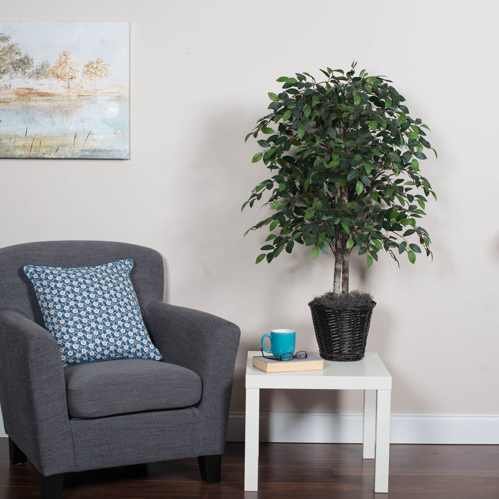 4' Mini Ficus Bush