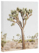 Bree Madden Simple Times Art Canvas