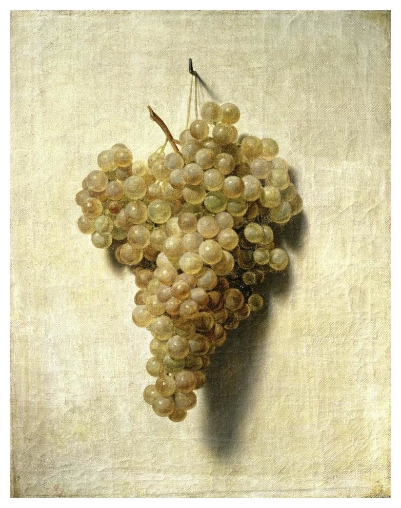 "White Grapes (Raisons Blancs)" Print by Louis Leopold Boilly, 33"x42"