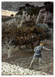 "Enemy Sowing Tares" Digital Paper Print by James Tissot, 17"x24"