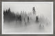 "The Trees Are Calling" Framed Painting Print, 24x16