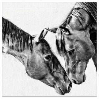 "Kindred Colts" Frameless Free Floating Tempered Glass Panel Graphic Wall Art