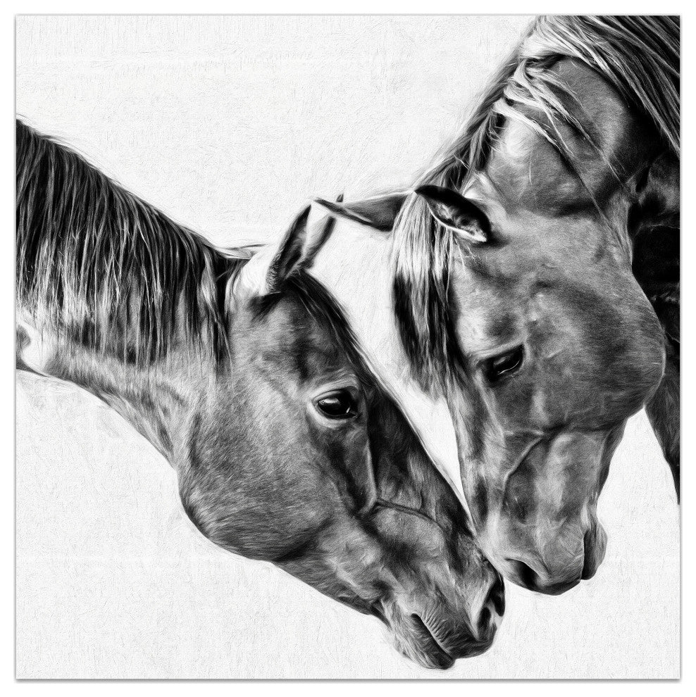 "Kindred Colts" Frameless Free Floating Tempered Glass Panel Graphic Wall Art