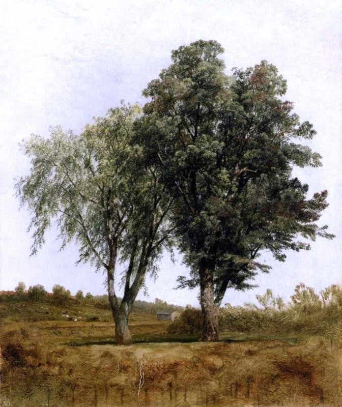 John Frederick Kensett A Study of Trees Wall Decal