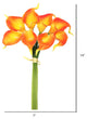 Vickerman Artificial Calla Lily Bundle, Orange