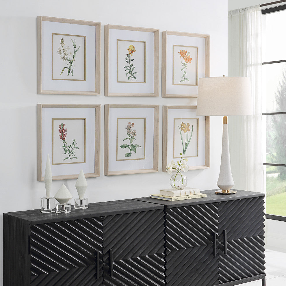 Uttermost Classic Botanicals Framed prints 6-Piece Set