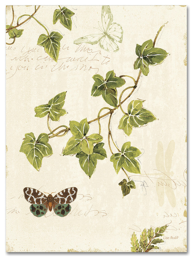 ''Ivies and Ferns II'' Canvas Art by Lisa Audit