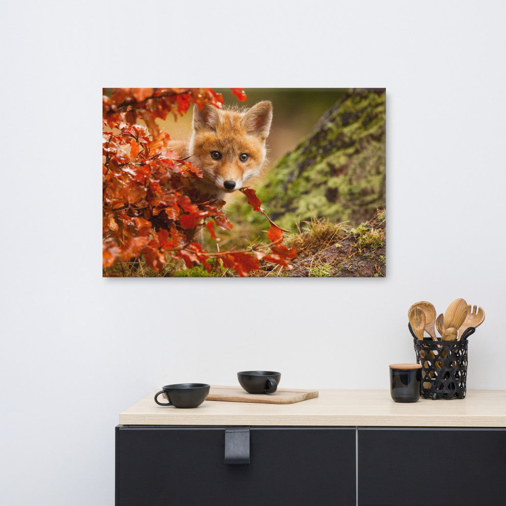 Baby Red Fox Face and Autumn Leaves - Forest Wildlife Photo Canvas Art Print, 24" X 36"