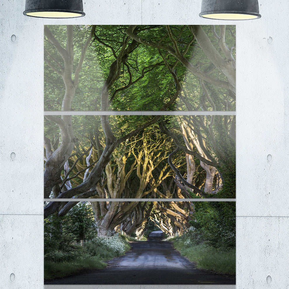 "The Dark Hedges" Photography Metal Wall Art, 3 Panels, 28"x36"